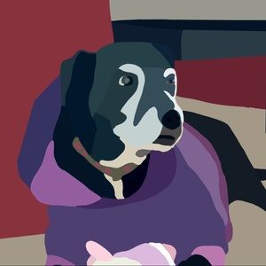 Meet your Posher, Caitlin